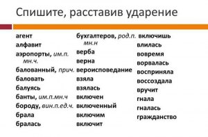 В полутора метрах, где ударение в слове полутора, почему?