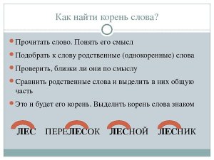 Каким правилом регулируется написание корня в слове вымокнешь?