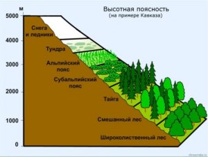 Какие природные зоны сменяются с высотой на горе Моблан? Сколько их?