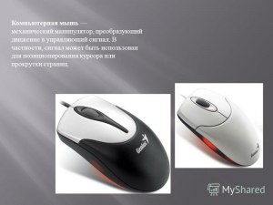 Может ли летуч. мышь,посылая сигнал 80 кГц,обнаружить мошку размером 1мм?