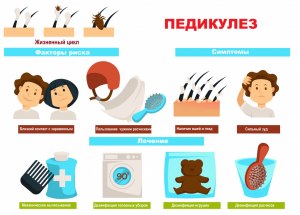 Что общего в словах педиатр, педикулёз, педофил, педикюр, кроме звучания?