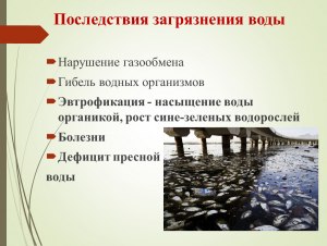 Как ответить:Группа исследователей изучала влияние уровня загрязнения воды?